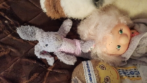 Заяц Коська