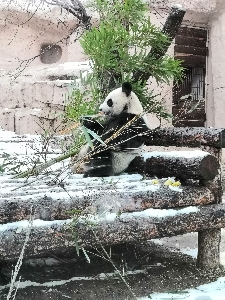 Егор